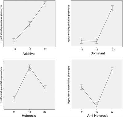 Heterosis in COMT Val158Met Polymorphism Contributes to Sex-Differences in Children’s Math Anxiety